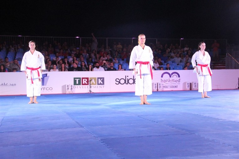 Martial Arts Festival